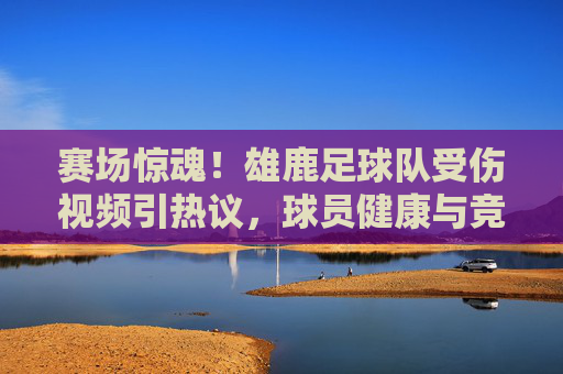 赛场惊魂!雄鹿足球队受伤视频引热议,球员健康与竞技体育的平衡再审视,雄鹿足球队受伤视频引热议,赛场惊魂下的健康与竞技平衡再审视