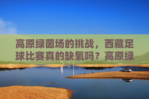 高原绿茵场的挑战,西藏足球比赛真的缺氧吗?高原绿茵场挑战,西藏足球比赛真会缺氧吗?