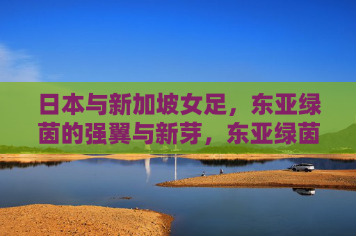 日本与新加坡女足,东亚绿茵的强翼与新芽,东亚绿茵强翼与新芽,日本新加坡女足