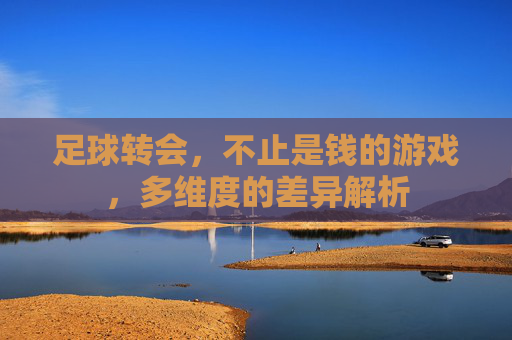 足球转会,不止是钱的游戏,多维度的差异解析