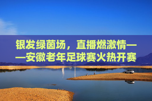银发绿茵场，直播燃激情——安徽老年足球赛火热开赛，直播燃情银发绿茵场，老年足球赛火热开赛