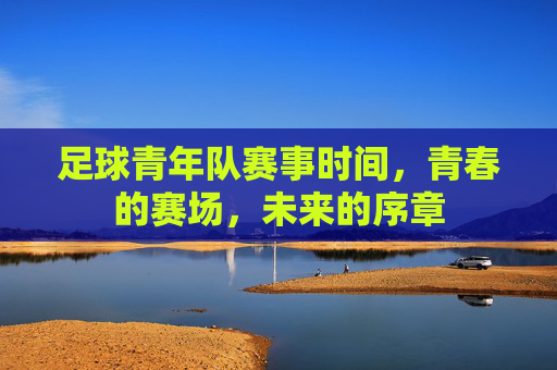 足球青年队赛事时间,青春的赛场,未来的序章