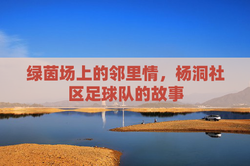 绿茵场上的邻里情,杨洞社区足球队的故事