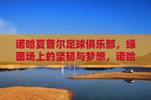 诺哈夏普尔足球俱乐部,绿茵场上的坚韧与梦想,诺哈夏普尔,绿茵场上的坚韧与梦想