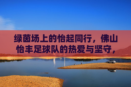 绿茵场上的怡起同行，佛山怡丰足球队的热爱与坚守，绿茵怡同行，佛山怡丰足球队的热爱与坚守