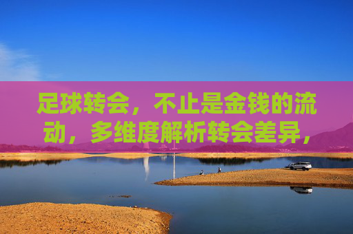 足球转会,不止是金钱的流动,多维度解析转会差异,足球转会差异,多维度解析,超越金钱流动