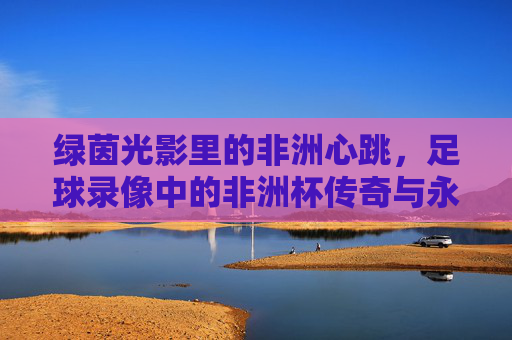 绿茵光影里的非洲心跳,足球录像中的非洲杯传奇与永恒,绿茵光影映非洲心跳,非洲杯传奇与永恒