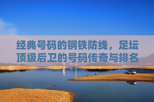 经典号码的钢铁防线,足坛顶级后卫的号码传奇与排名印记,足坛顶级后卫的钢铁防线,号码传奇与排名印记