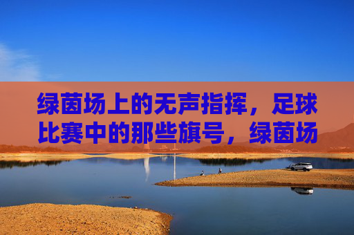 绿茵场上的无声指挥，足球比赛中的那些旗号，绿茵场上的无声指挥，足球比赛旗号