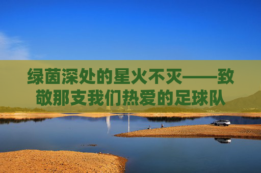 绿茵深处的星火不灭——致敬那支我们热爱的足球队