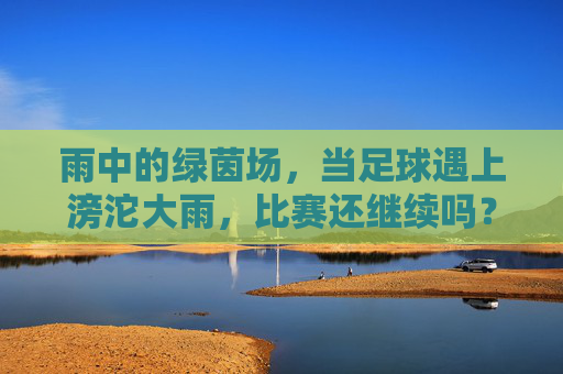 雨中的绿茵场,当足球遇上滂沱大雨,比赛还继续吗?雨落绿茵,足球无惧滂沱