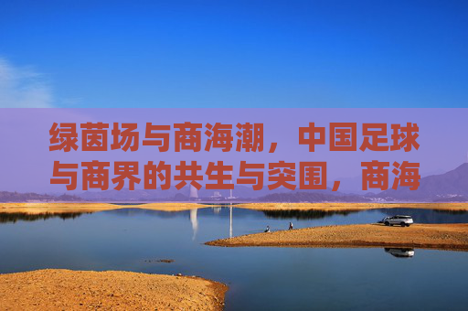绿茵场与商海潮，中国足球与商界的共生与突围，商海潮涌绿茵场，中国足球与商界的共生突围