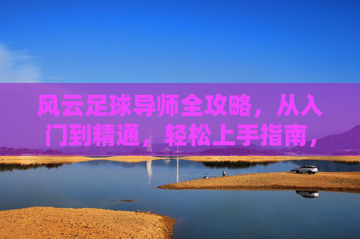 风云足球导师全攻略，从入门到精通，轻松上手指南，风云足球导师全攻略，从入门到精通的轻松上手指南