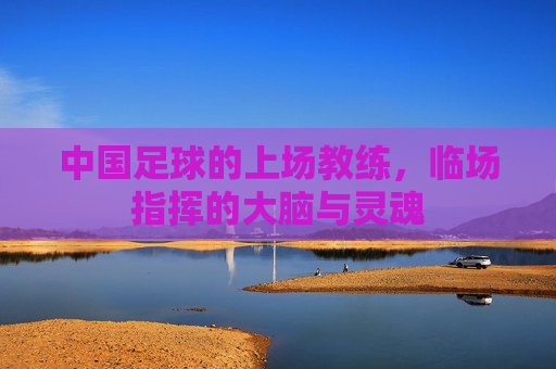 中国足球的上场教练,临场指挥的大脑与灵魂