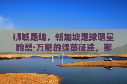 狮城足魂,新加坡足球明星哈桑·万尼的绿茵征途,狮城足魂,哈桑·万尼的绿茵征途