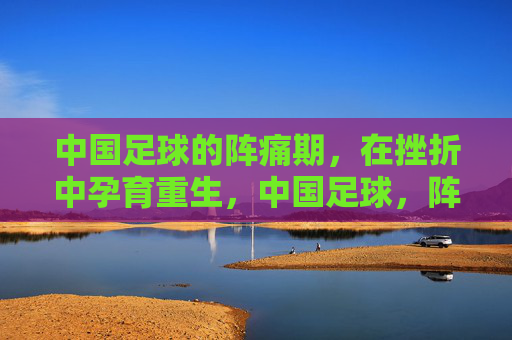 中国足球的阵痛期，在挫折中孕育重生，中国足球，阵痛中的重生