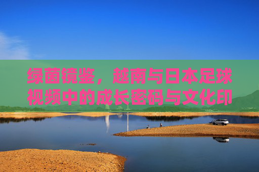 绿茵镜鉴，越南与日本足球视频中的成长密码与文化印记，绿茵镜鉴，越日足球成长的文化密码