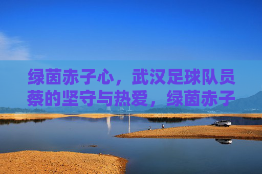 绿茵赤子心,武汉足球队员蔡的坚守与热爱,绿茵赤子心,武汉球员蔡的坚守与热爱