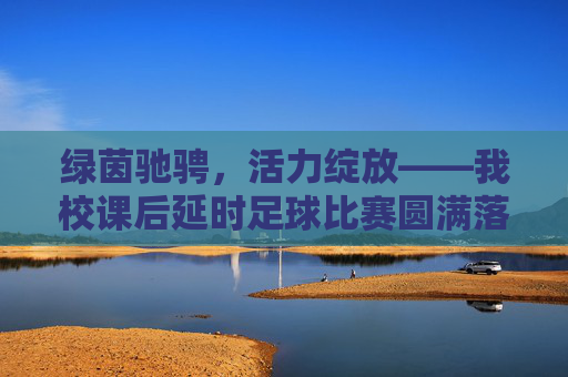 绿茵驰骋,活力绽放——我校课后延时足球比赛圆满落幕,绿茵驰骋活力绽放 我校课后延时足球比赛圆满落幕