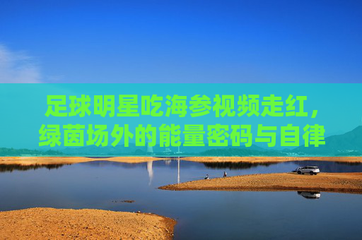 足球明星吃海参视频走红,绿茵场外的能量密码与自律哲学,海参里的绿茵能量,足球明星的自律密码