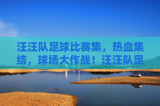 汪汪队足球比赛集,热血集结,球场大作战!汪汪队足球热血集结,球场大作战!