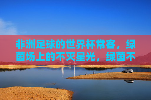 非洲足球的世界杯常客,绿茵场上的不灭星光,绿茵不灭星光,非洲足球的世界杯常客