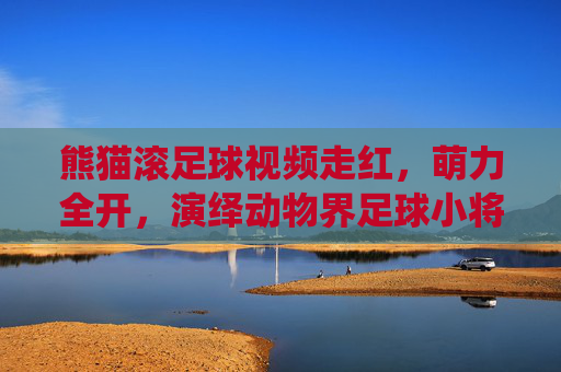 熊猫滚足球视频走红，萌力全开，演绎动物界足球小将的治愈瞬间，熊猫滚足球萌力全开，演绎动物界治愈瞬间