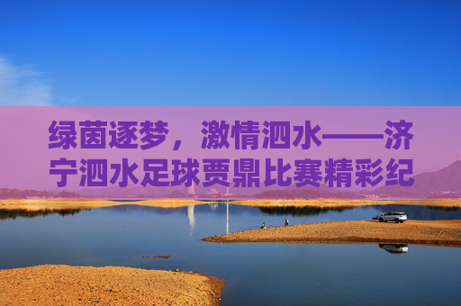 绿茵逐梦,激情泗水——济宁泗水足球贾鼎比赛精彩纪实,绿茵逐梦,激情泗水——济宁泗水足球贾鼎比赛精彩纪实