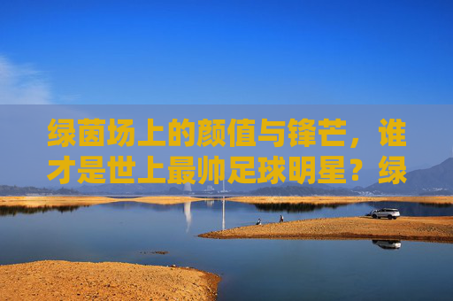 绿茵场上的颜值与锋芒，谁才是世上最帅足球明星？绿茵场颜值锋芒，谁是最帅足球明星？