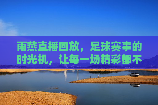 雨燕直播回放，足球赛事的时光机，让每一场精彩都不缺席，雨燕直播回放，足球赛事的时光机，精彩永不缺席
