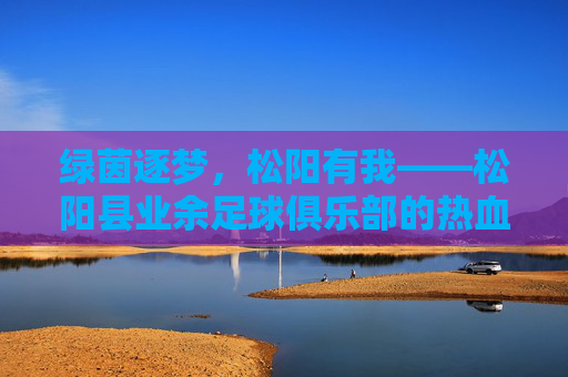 绿茵逐梦,松阳有我——松阳县业余足球俱乐部的热血与温情