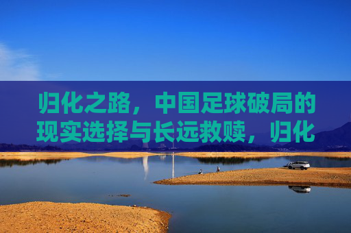 归化之路，中国足球破局的现实选择与长远救赎，归化之路，中国足球破局与长远救赎