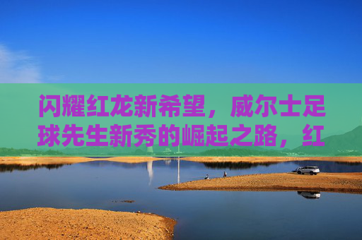 闪耀红龙新希望,威尔士足球先生新秀的崛起之路,红龙新希望,威尔士足球先生新秀崛起之路