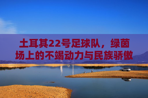 土耳其22号足球队,绿茵场上的不竭动力与民族骄傲,土耳其22号,绿茵场上的不竭动力与民族骄傲