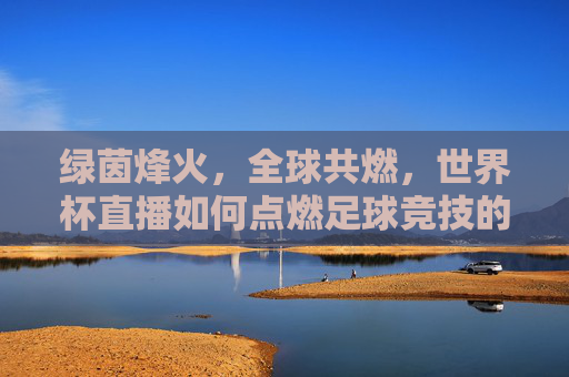 绿茵烽火，全球共燃，世界杯直播如何点燃足球竞技的激情与梦想，世界杯直播，燃绿茵烽火，聚全球梦想