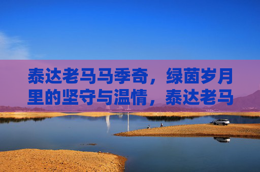 泰达老马马季奇，绿茵岁月里的坚守与温情，泰达老马马季奇，绿茵岁月的坚守与温情