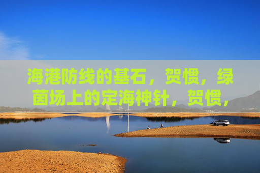 海港防线的基石,贺惯,绿茵场上的定海神针,贺惯,海港防线的定海神针