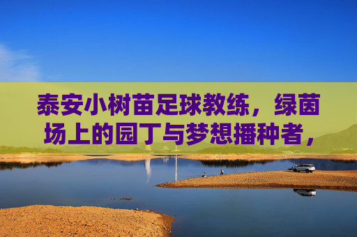 泰安小树苗足球教练,绿茵场上的园丁与梦想播种者,泰安小树苗足球教练,绿茵园丁,梦想播种者