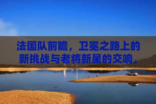 法国队前瞻，卫冕之路上的新挑战与老将新星的交响，法国队卫冕交响，老将新星共谱挑战新篇
