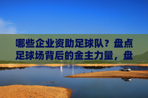 哪些企业资助足球队?盘点足球场背后的金主力量,盘点企业金主,足球队背后的资助力量