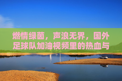 燃情绿茵,声浪无界,国外足球队加油视频里的热血与共鸣,燃情绿茵,声浪无界,国外足球队加油视频的热血共鸣