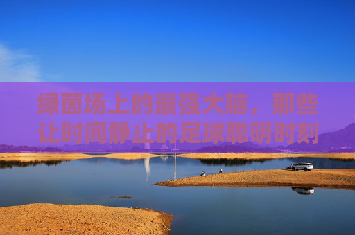 绿茵场上的最强大脑,那些让时间静止的足球聪明时刻视频,绿茵场最强大脑,让时间静止的足球聪明瞬间