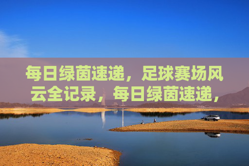 每日绿茵速递,足球赛场风云全记录,每日绿茵速递,足球赛场风云全记录