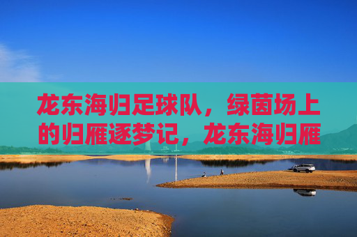龙东海归足球队，绿茵场上的归雁逐梦记，龙东海归雁，绿茵逐梦记