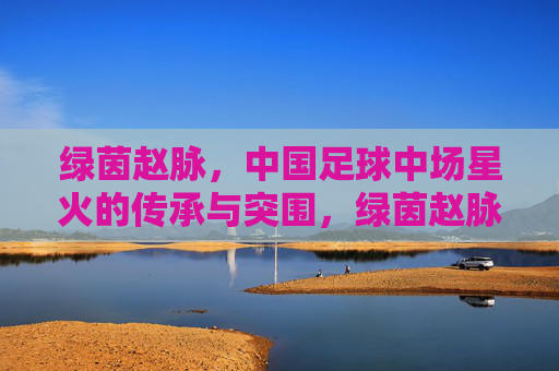 绿茵赵脉,中国足球中场星火的传承与突围,绿茵赵脉,中国足球中场星火的传承与突围