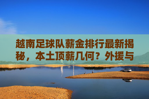 越南足球队薪金排行最新揭秘,本土顶薪几何?外援与本土薪资差距引关注,越南足球队薪金最新排行,本土顶薪与外援薪资差距引关注