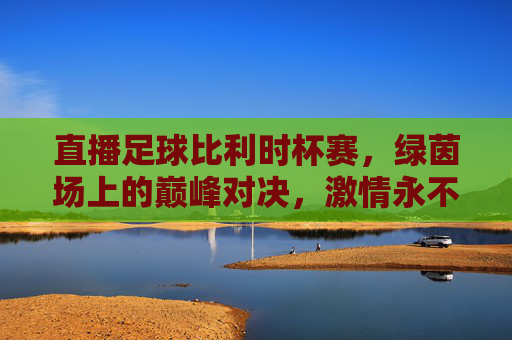 直播足球比利时杯赛，绿茵场上的巅峰对决，激情永不落幕，比利时杯巅峰对决，绿茵激情永不落幕