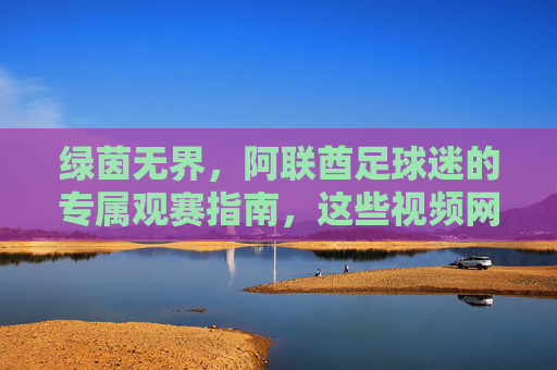 绿茵无界,阿联酋足球迷的专属观赛指南,这些视频网站让你不错过任何精彩,绿茵无界,阿联酋足球迷专属观赛指南,视频网站不错过精彩