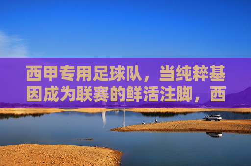 西甲专用足球队,当纯粹基因成为联赛的鲜活注脚,西甲专用球队的纯粹基因,联赛鲜活的风格注脚