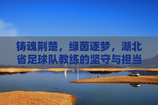 铸魂荆楚，绿茵逐梦，湖北省足球队教练的坚守与担当，铸魂荆楚，逐梦绿茵，湖北足球教练的坚守担当